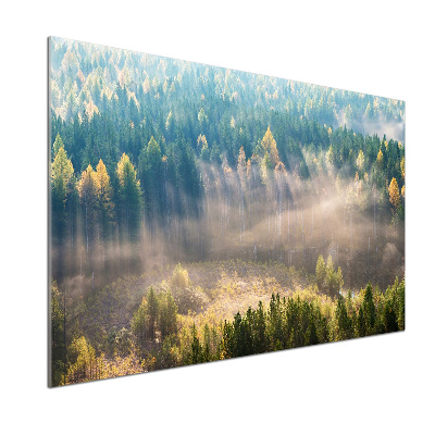 Cooker splashback Fog in the forest