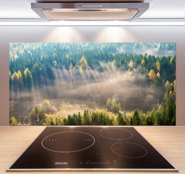 Cooker splashback Fog in the forest