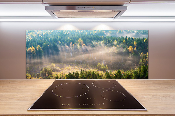 Cooker splashback Fog in the forest