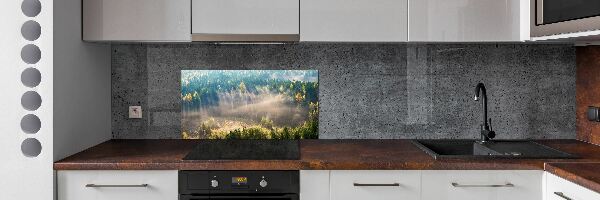 Cooker splashback Fog in the forest