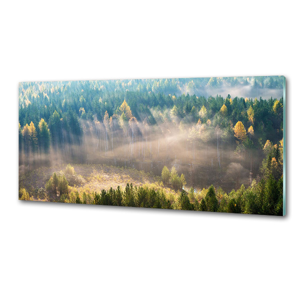 Cooker splashback Fog in the forest