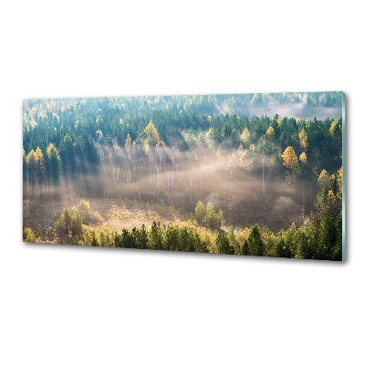 Cooker splashback Fog in the forest