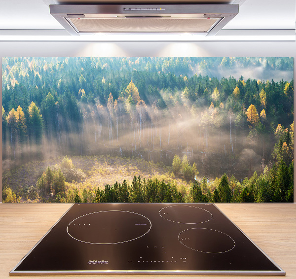 Cooker splashback Fog in the forest