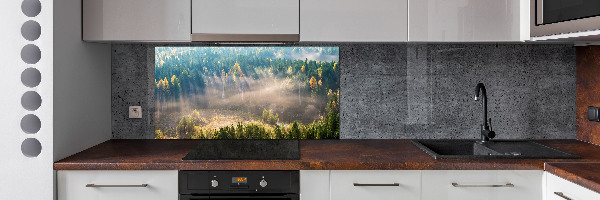 Cooker splashback Fog in the forest