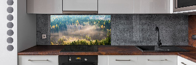 Cooker splashback Fog in the forest