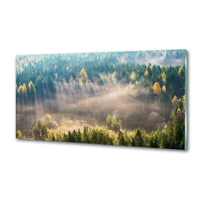 Cooker splashback Fog in the forest