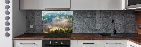 Cooker splashback Fog in the forest