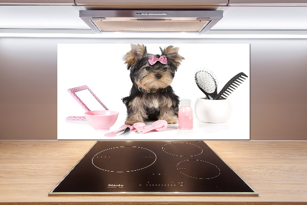 Cooker splashback Yorkshire cosmetics