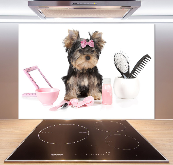 Cooker splashback Yorkshire cosmetics