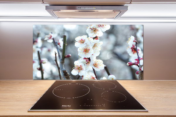 Kitchen wall panels Cherry blossoms