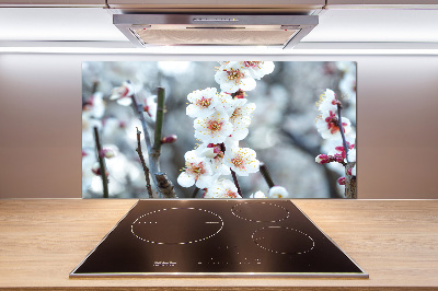 Kitchen wall panels Cherry blossoms