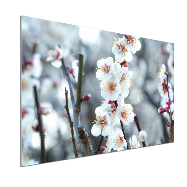 Kitchen wall panels Cherry blossoms