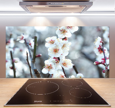 Kitchen wall panels Cherry blossoms