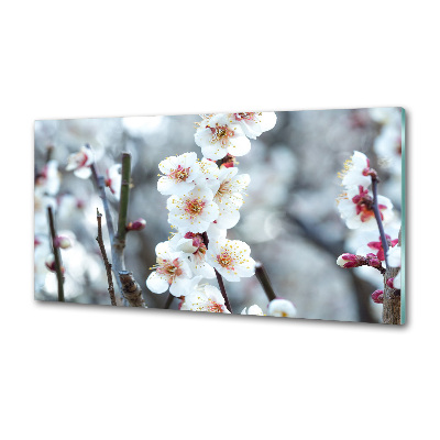 Kitchen wall panels Cherry blossoms