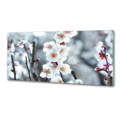 Kitchen wall panels Cherry blossoms