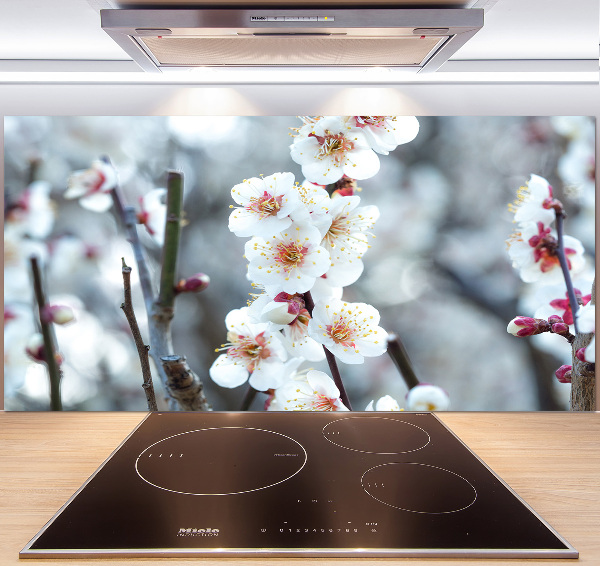 Kitchen wall panels Cherry blossoms