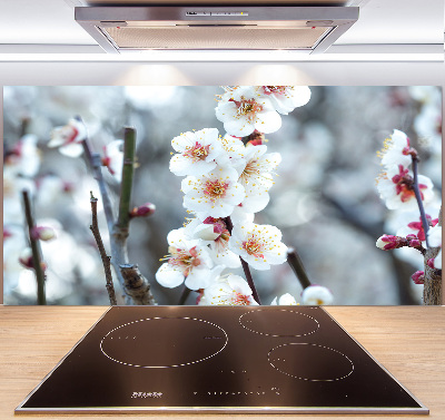 Kitchen wall panels Cherry blossoms