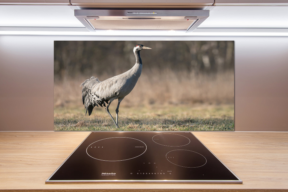 Cooker splashback Heron