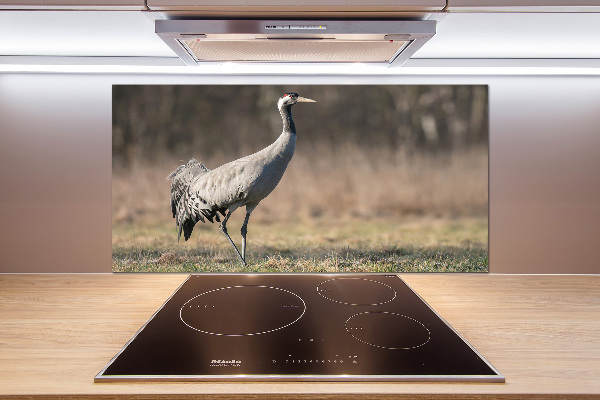 Cooker splashback Heron