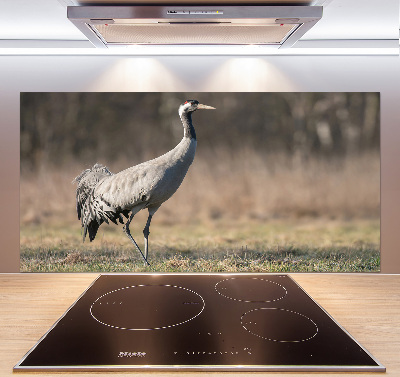 Cooker splashback Heron