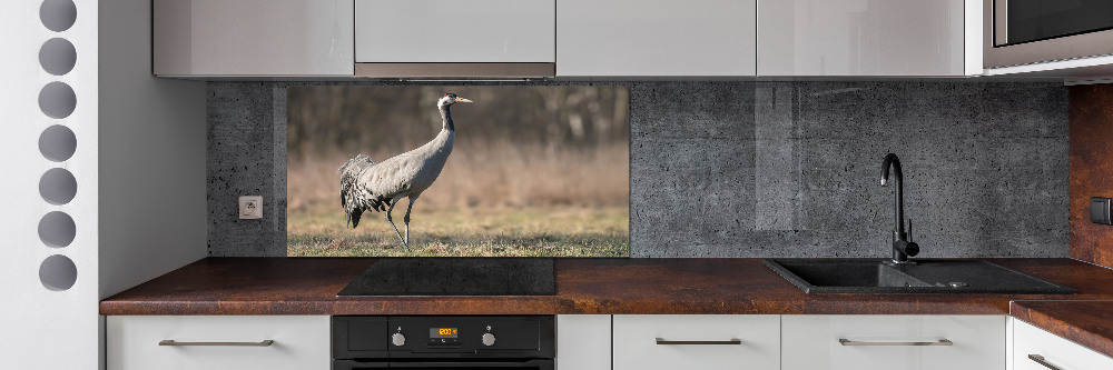 Cooker splashback Heron