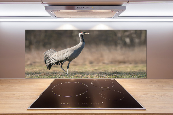 Cooker splashback Heron