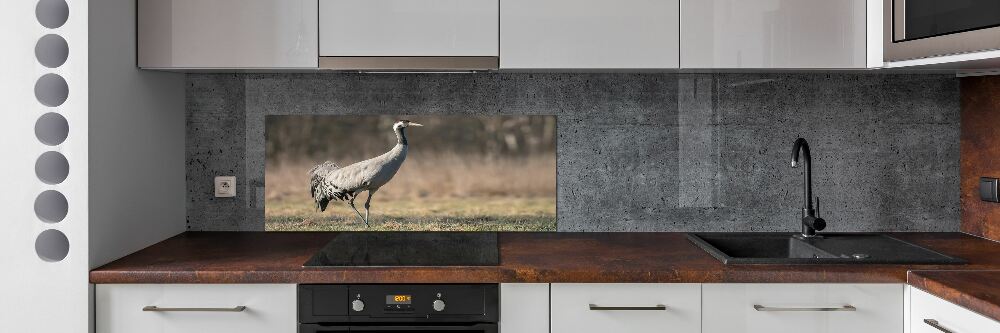 Cooker splashback Heron