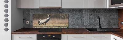 Cooker splashback Heron