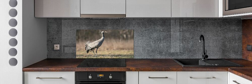 Cooker splashback Heron