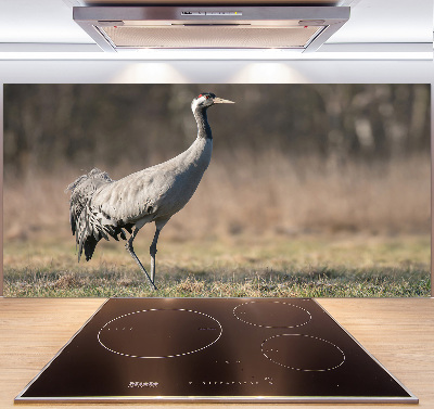 Cooker splashback Heron