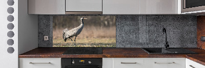 Cooker splashback Heron