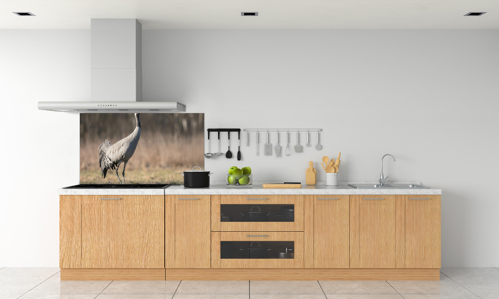 Cooker splashback Heron