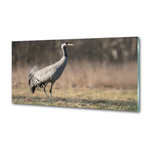 Cooker splashback Heron