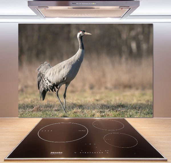 Cooker splashback Heron