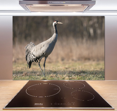 Cooker splashback Heron