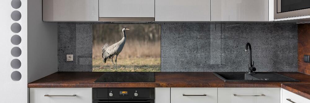 Cooker splashback Heron