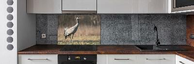 Cooker splashback Heron