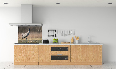 Cooker splashback Heron