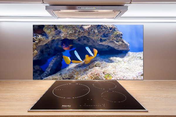 Cooker splashback Tropical fish