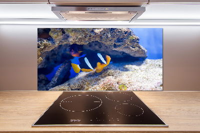 Cooker splashback Tropical fish