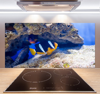 Cooker splashback Tropical fish