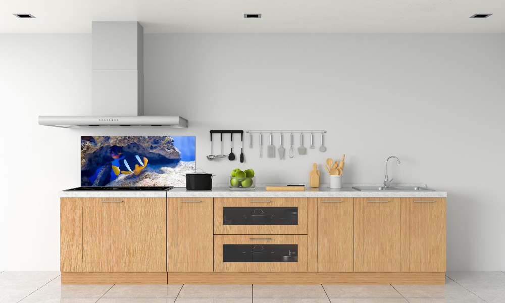 Cooker splashback Tropical fish