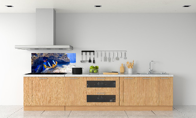 Cooker splashback Tropical fish