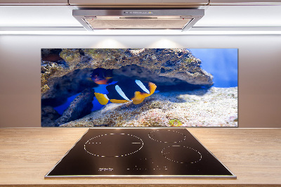 Cooker splashback Tropical fish