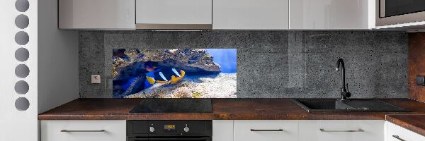 Cooker splashback Tropical fish