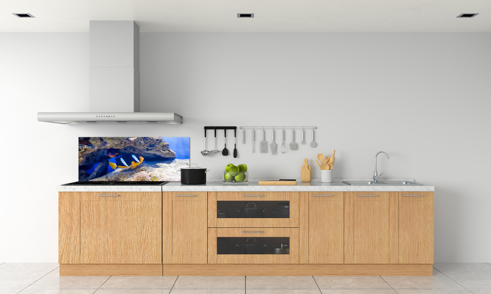 Cooker splashback Tropical fish