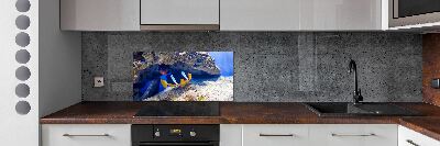 Cooker splashback Tropical fish