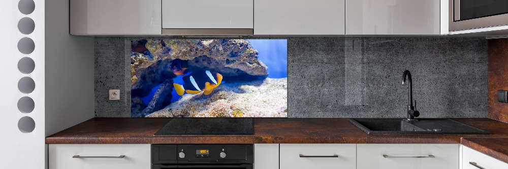 Cooker splashback Tropical fish