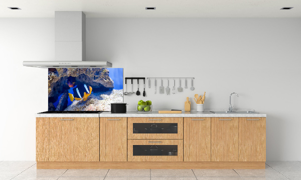 Cooker splashback Tropical fish