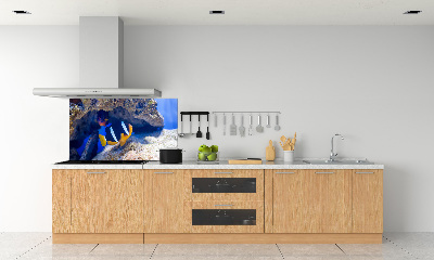 Cooker splashback Tropical fish